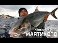 Повелителят на маятикото / The lord of Amberjack