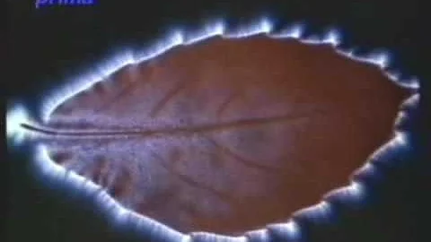 Jaké jsou kognitivní funkce?