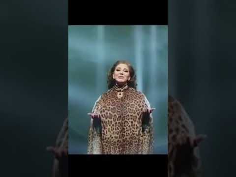 ميادة الحناوي كردستان