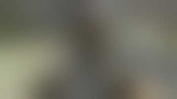 DM [-HIDEOUT-] D e a t h M a t c h - Gravity R00t Admin NS14/88 GG