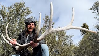 Shed Hunting, Mountain March Madness, Elk Sheds 2024
