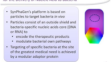 SynPhaGen Technology