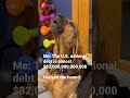 Bloodhound howls after National debt news!! #bloodhound #nationaldebt #bloodhounds