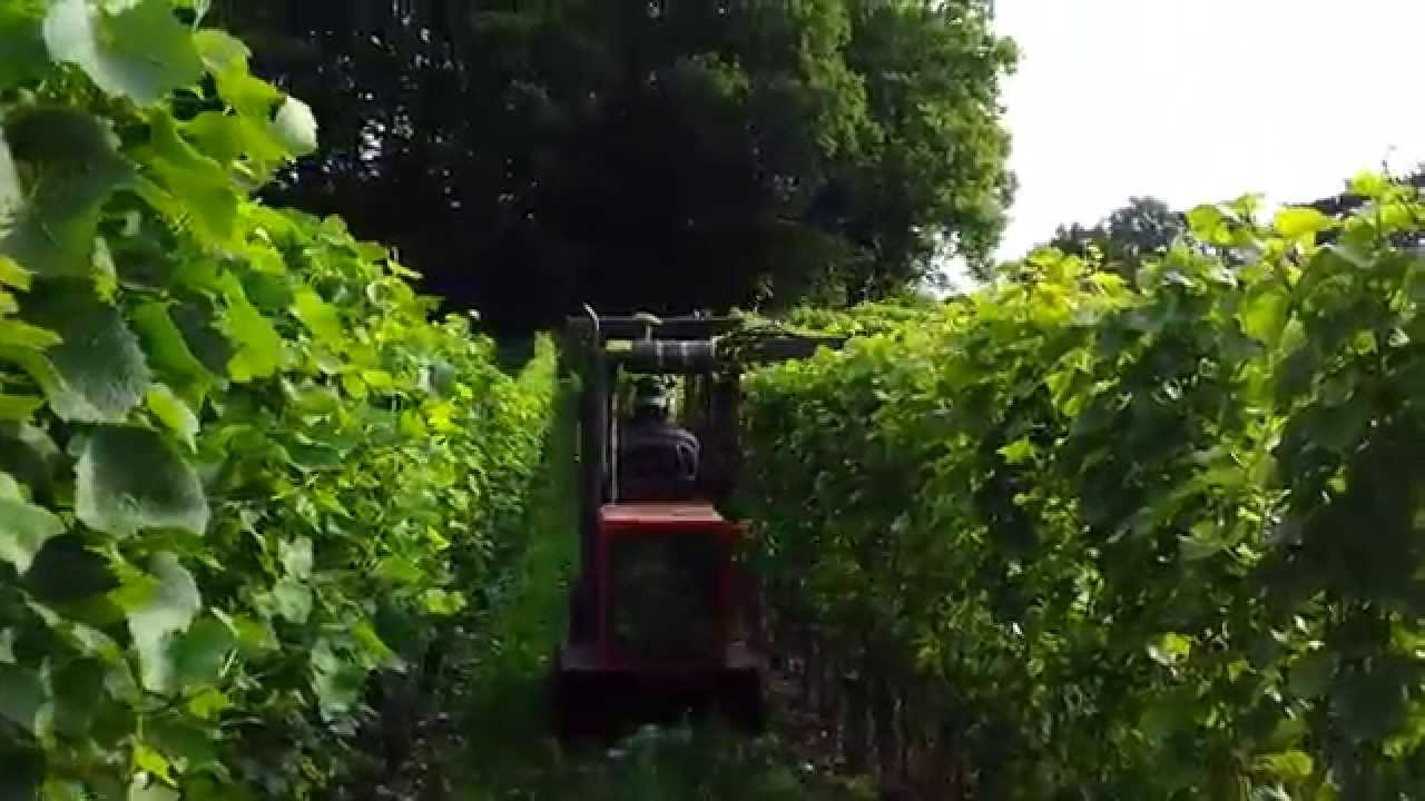 Tracteur à chenilles LOEFFEL Viti-Plus95 av rogneuse Binger Seilzug