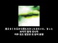 Plastic tree - スライド Slide 가사 한글 자막 lyric