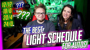 The Best Light Schedule For Autos!