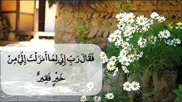تلاوة من سورة القصص | القارئ ناصر العصفور