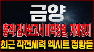 [금양 주가전망] 긴급! 방금 나온 조회공시요구 비적정설이 떴다!? 거래정지는 결국 &#39;이때&#39; 풀린다! 주담과 전화통화 시도 후기, 그리고 결국 다음주 월요일이 정말 중요하다