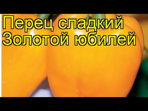 Перец сладкий Золотой юбилей. Краткий обзор, описание характеристик Zolotoi iubilei