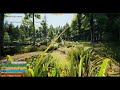 Sunny forest run through