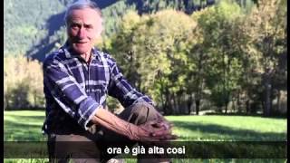 La patata in Valle Maira e nelle Alpi