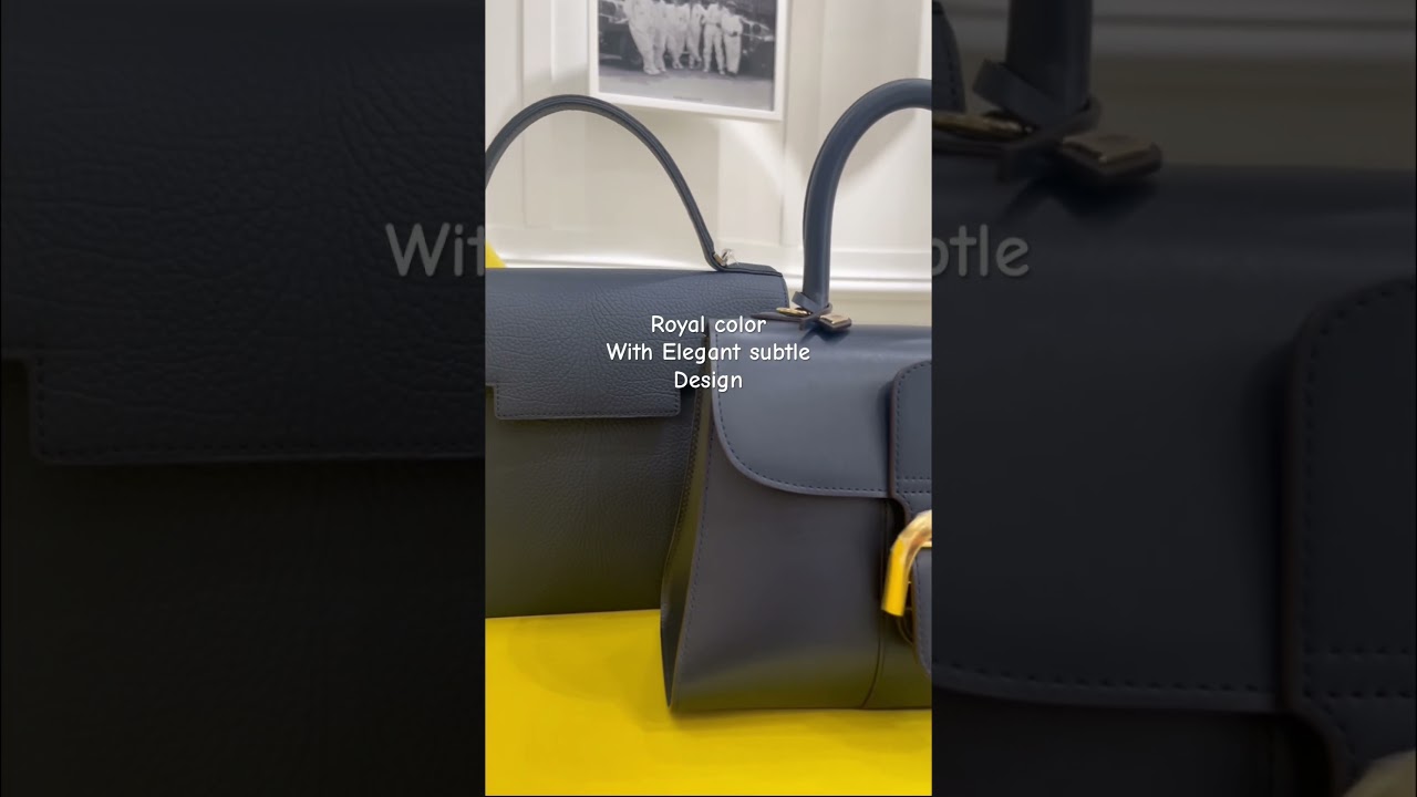 Brillant PM- Delvaux look 