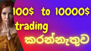 100$ to 10000 $, trading  කරන්නැතුව || how to buy new coin sinhala || make money online with crypto