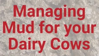 Tip of the Month on Managing Mud