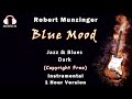 Robert munzinger  blue mood  1 hour version moods1m