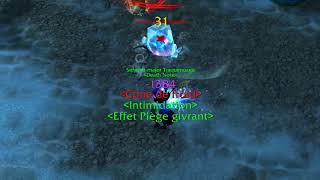 WoW Vanilla 1.12.1 Hunter Duels.