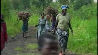 Village Forest Rape Videos - Rape in the Forest - YouTube