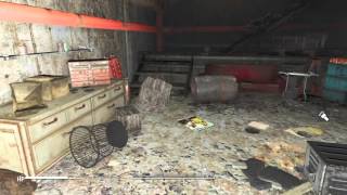 Fallout 4 dancing box glitch