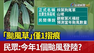 「颱風草」僅1摺痕 民眾：今年1個颱風登陸？