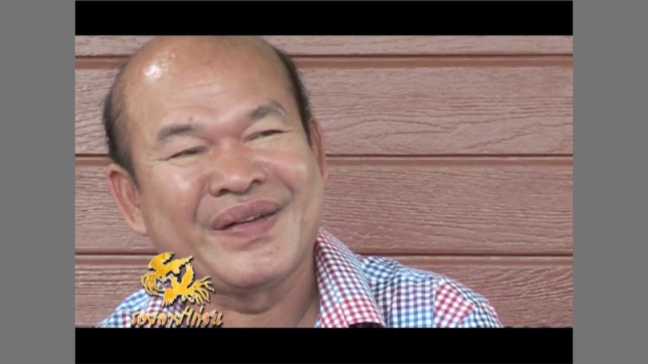 รอยลายไก่ชน p2 (เสี่ยเผือก) คุณรุ่งเรือง ยิ่งเจริญ ประธานชมรมอนุรักษ์และพัฒนาไก่พื้นเมืองฝั่งธนบุรี