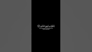 ما تيسر من سورة المطففين | القرآن الكريم | القارئ ياسر الدوسري | كروما