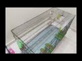 New improved setup at new location fawn java mutation finches banglese