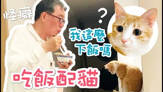 吃飯配貓真香！什麼都聞一下的小學生之戀｜傲嬌爸的養貓日常