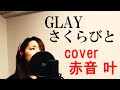 【女性が歌う】GLAY / さくらびと covered by 赤音 叶