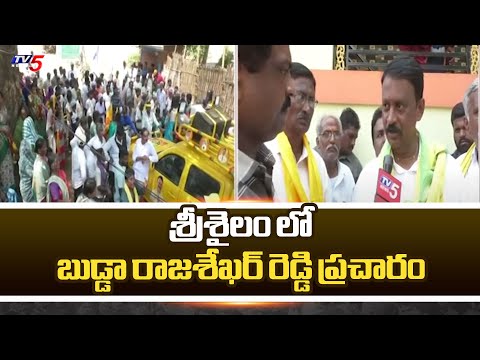 TDP Srisailam MLA Candidate Budda Rajasekhar Reddy Election Campagin | Chandrababu | TV5 News - TV5NEWS