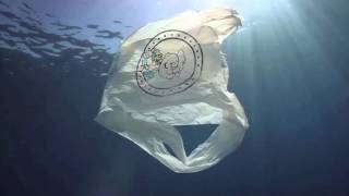 Our Oceans Our Future