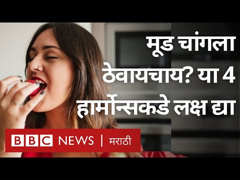 Hormones संप्रेरक म्हणजे काय? Dopamine, Endorphin, Oxytocin, Serotonin शरीरात काय केमिकल लोचा करतात?