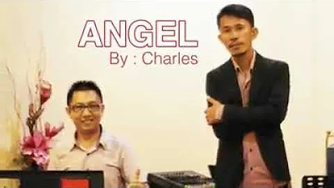 Angel - cover by charles janis