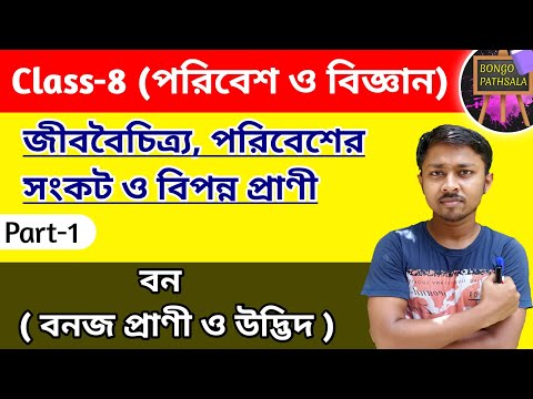 ভিডিও: ক্যাকটাস কীভাবে মরুভূমিতে মানিয়ে নিয়েছে?