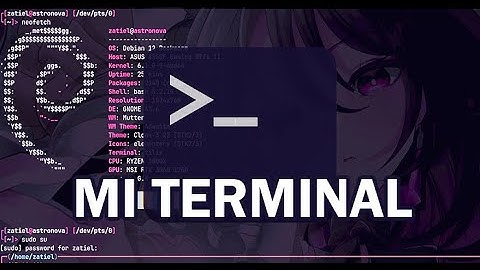 How do I configure my terminal? | Zatiel
