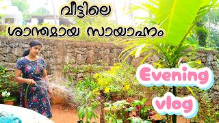 peaceful evening routine after a long day ☕|EVENING VLOG @neethujithosh