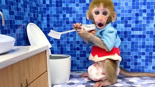 Monkey baby cleans the toilet and swims with the duckling & puppy So cute on the farm