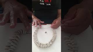 How to Make a Double Strand Cowrie Choker #jewelrymaker #cowrieshell #necklace