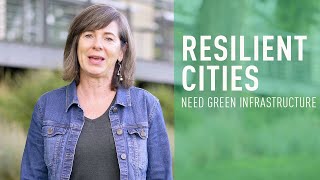 Mindset Change: Resilient Cities Need Green Infrastructure