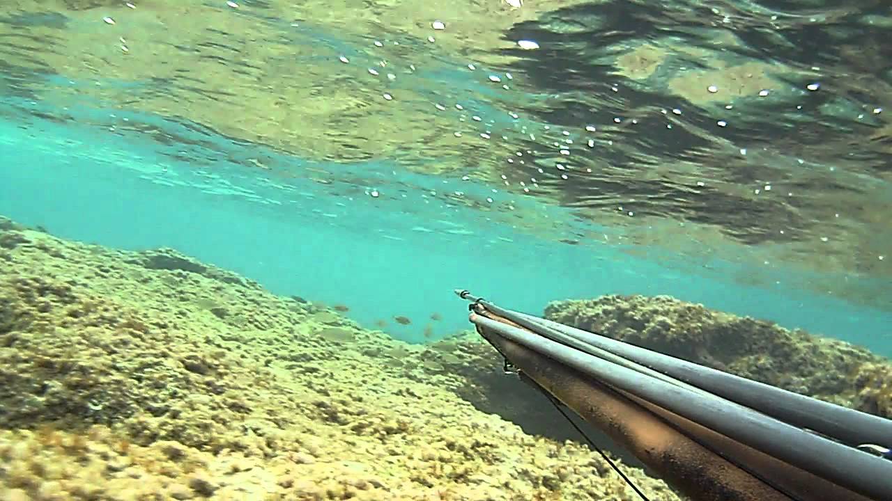 PESCA-SUB-APNEA,AGGUATO CEFALO 2,750KG 25/10/2011.OMER HF 100