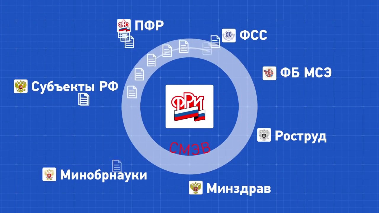 Федеральный реестр инвалидов машина Федеральный реестр инвалидов машина