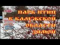 Парк птиц в Калужской области. Куда поехать на выходные? Птиц смотрим!