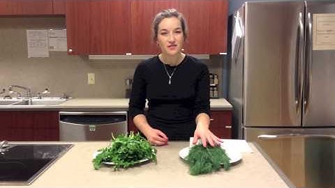 Preparing and Storing Fresh Herbs