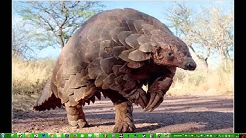 Pango Tips 1: Exporting Marching Cube Models from Magicavoxel to Unity