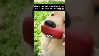 Sharing Is Caring Unless Youre...