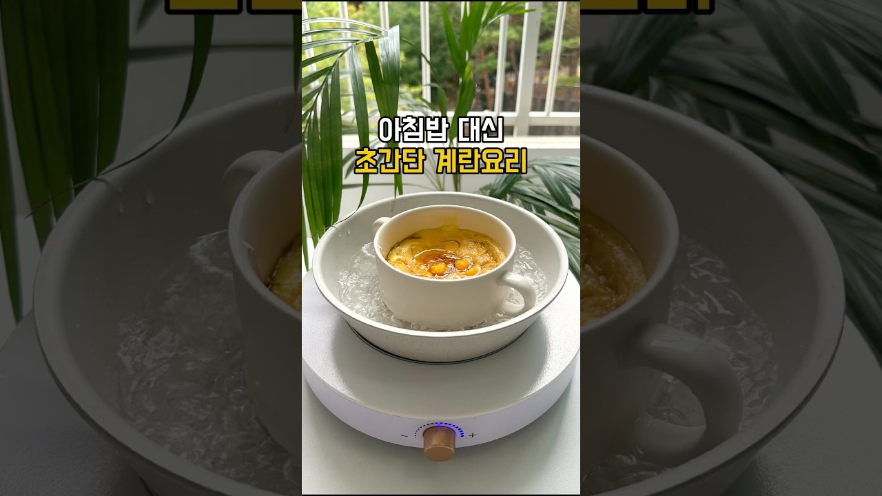 아침밥 대신 초간단 10분 계란요리