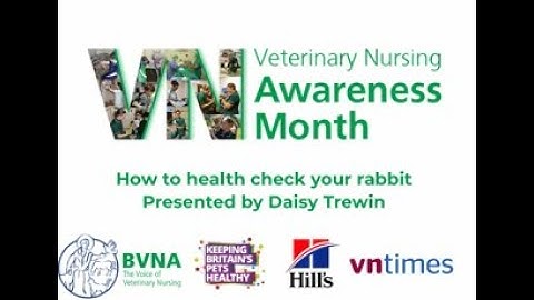 Daisy Trewin - "How to health check your rabbit!"