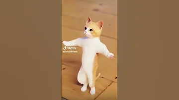 انس انس انس حلو انس انس 