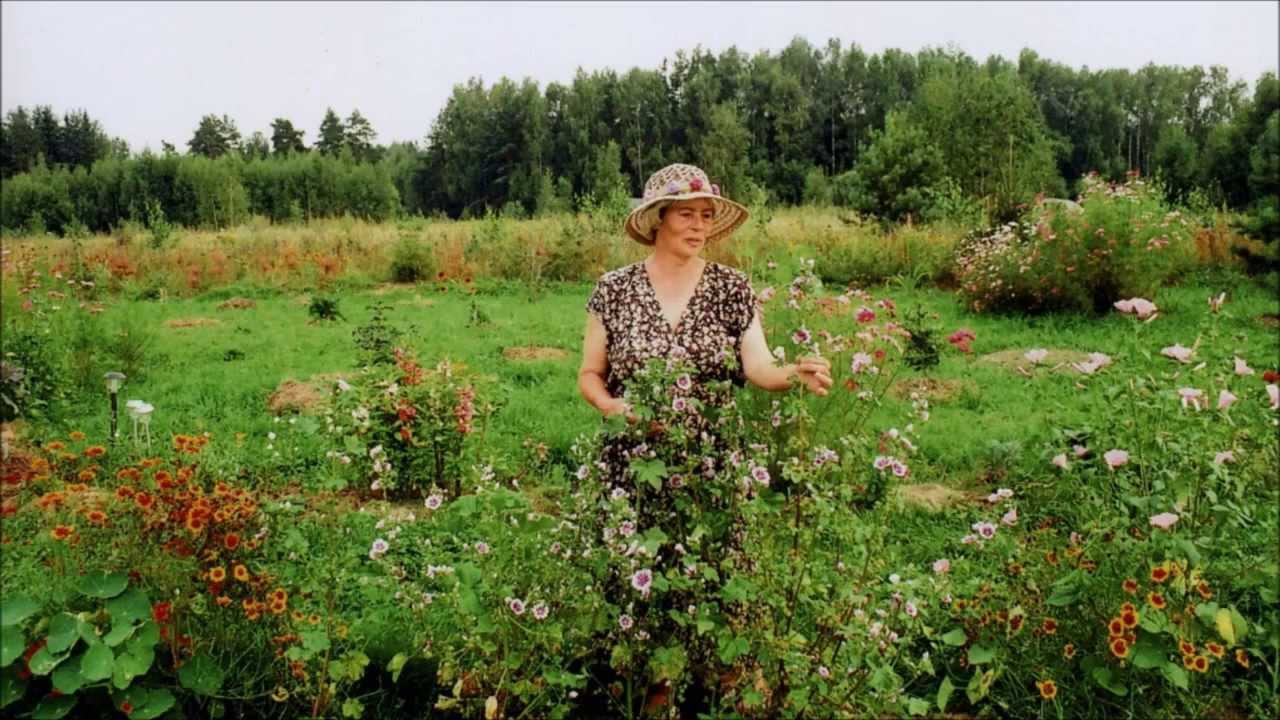 Знакомства Для Создания Родового Поместья Вконтакте