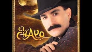 Si yo fuera ladron - El Chapo De Sinaloa