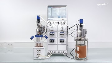 Behind the Scenes of the bioreactor control system SciVario® twin